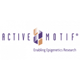 MODified Histone Peptide Array