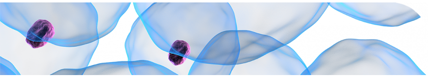 Condalab | Biología molecular y celular 