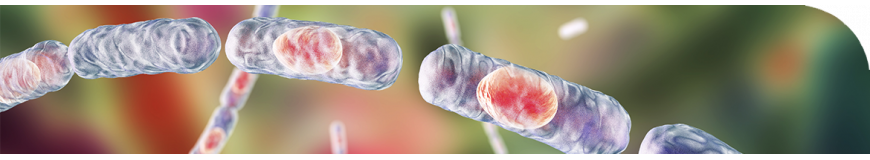 Condalab | Medios de cultivo para microbiología