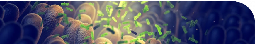 Condalab | Medios de cultivo para el microbioma humano