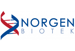 Norgen