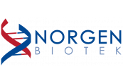 Norgen