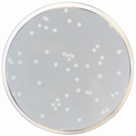 Nutrient Agar ISO