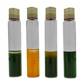 Glucose OF Medium ISO