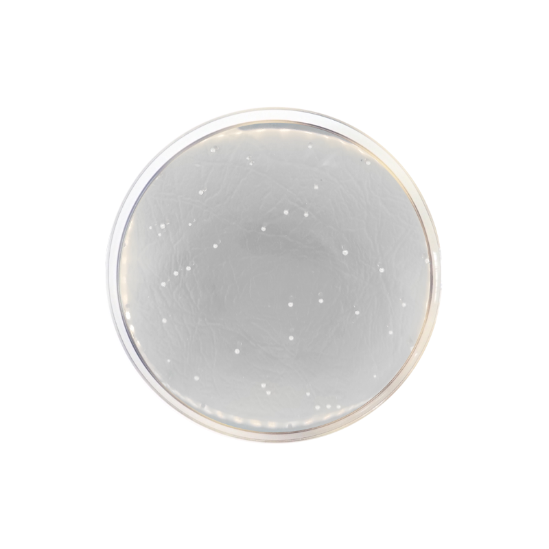 LB Agar (Lennox) Formato 500 g