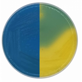 Agar CLED (Cistina Lactosa Deficiente de Electrolitos)