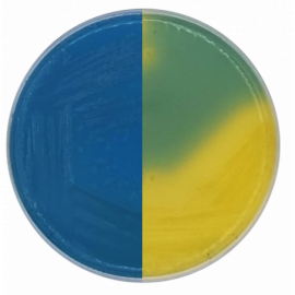 CLED Agar (Cystine Lactose Electrolyte Deficient)