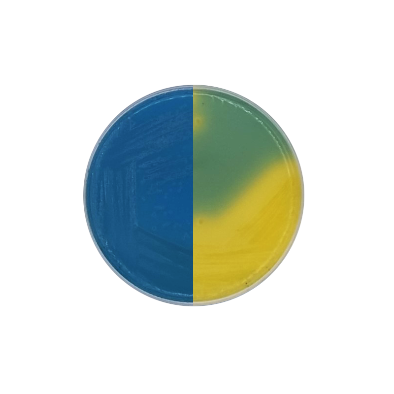 CLED Agar (Cystine Lactose Electrolyte Deficient) Formato 500 g