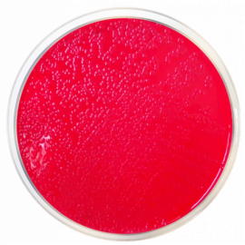 Lauryl Sulfate Agar