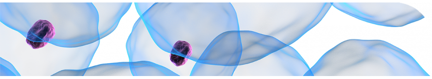 Molecular and cellular biology