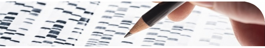 PCR and electrophoresis