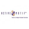 Active Motif