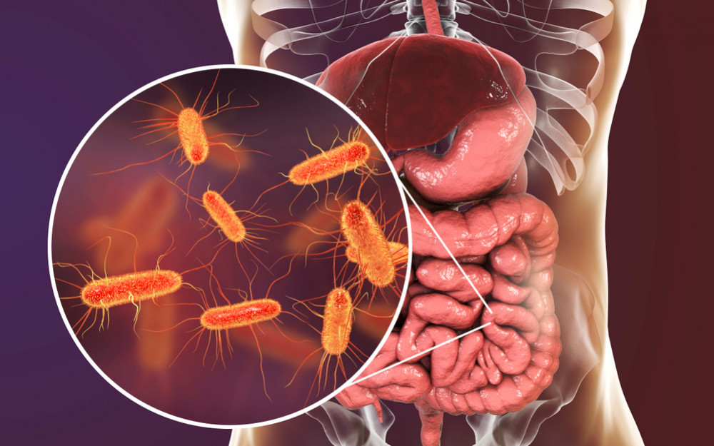 The Effects Of Antibiotics On The Growth Of Escherichia Coli