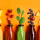 Which bacteria is responsible for the spoilage of fruit beverages?