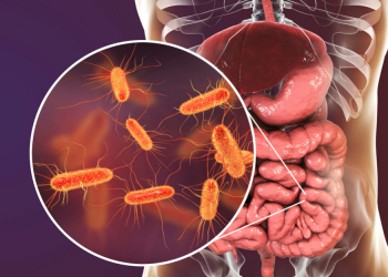 Retrospectiva de la importancia de Escherichia coli en la salud humana