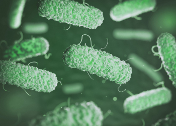 Garantiza tus resultados para E. coli y coliformes en aguas de consumo