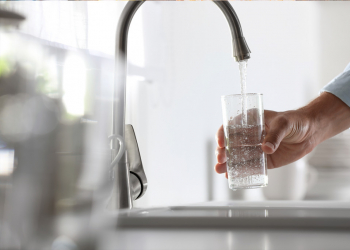 Microbial risks in drinking waters: Enterococcus. 