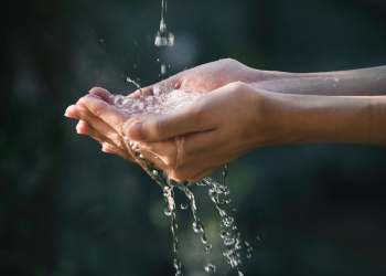 We celebrate World Water Day with new products for its control!