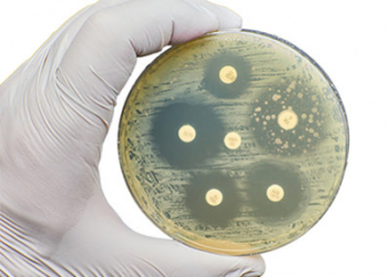 Salmonella y Campylobacter: emerging resistant microorganisms