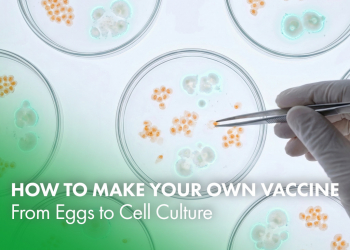 How to Make Your Own Vaccine: From Eggs to Cell Culture