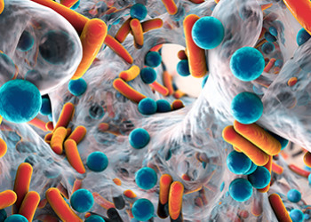 ¿Conocemos todos los mecanismos de resistencias bacterianas?