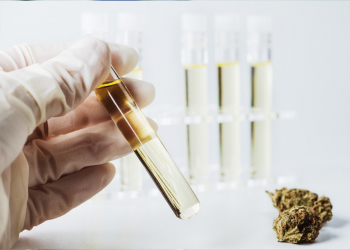 Microorganismos ocultos en el cannabis 
