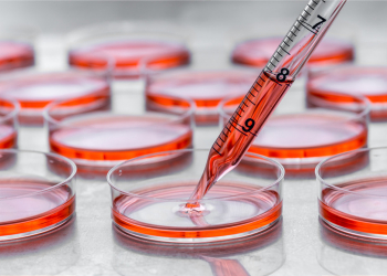 GMO-free y animal-free, pero ¿es posible un producto endotoxin-free?