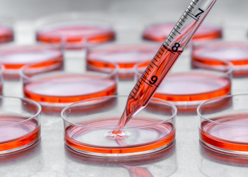 GMO-free y animal-free, pero ¿es posible un producto endotoxin-free?