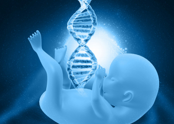 El potencial de las células madre del cordón umbilical en la medicina.