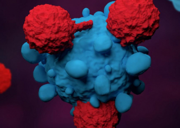 La terapia celular antiviral en la lucha contra las infecciones