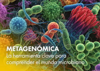 La metagenómica: una herramienta clave para comprender el mundo microbiano 