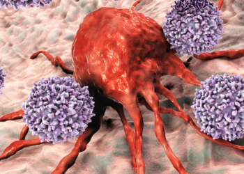 Terapia Celular Adoptiva, otra herramienta que suma en la lucha contra el cáncer