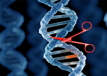 CRISPR/Cas. Aplicaciones en edición del genoma