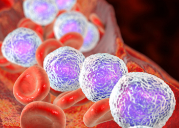 El microbioma intestinal protege frente a la predisposición genética a leucemia