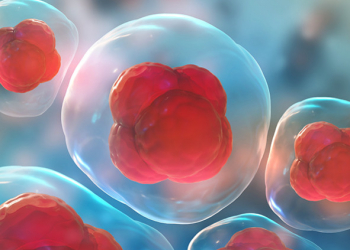Células madre, la medicina del futuro
