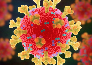 Nuevos avances en el estudio de la proteína S del SARS-CoV-2