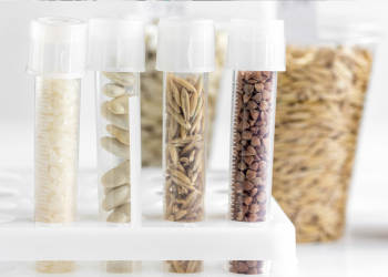 Diluyentes. ¿Esenciales o intrascendentes en el análisis de alimentos?