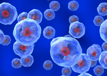 Optimiza al máximo tus experimentos de RNA-seq desde muestras de célula única.