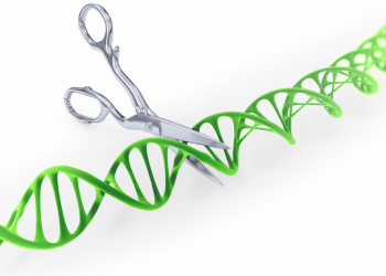 Próxima webinar: Aplicaciones de CRISPR/Cas 9 parte II