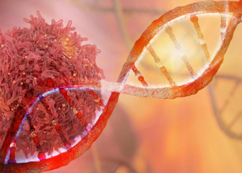 Oferta: secuenciación de DNA en estudios relacionados con cáncer.