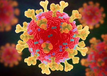 Nuevas proteínas conjugadas para la COVID-19