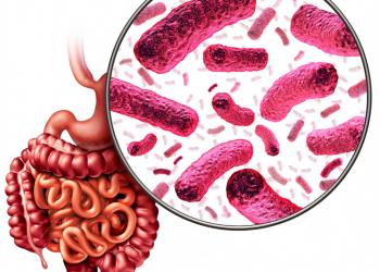 Efectos de la microbiota intestinal en la salud.