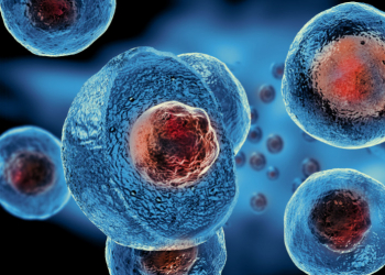 La investigación con células madre: más de 20 años de historia
