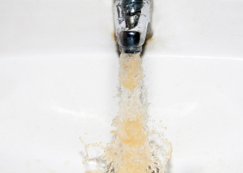 Riesgos en las aguas de consumo: Enterococcus.