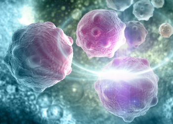 Saca el máximo partido al FACS para realizar RNA-seq de células únicas