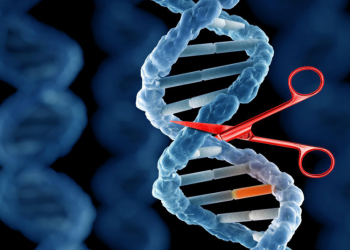 Se inicia el primer ensayo clínico que emplea CRISPR en pacientes.