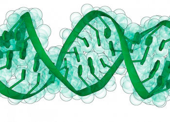 RNA Mango, tu solución para marcaje y aislamiento de ARNs específicos.