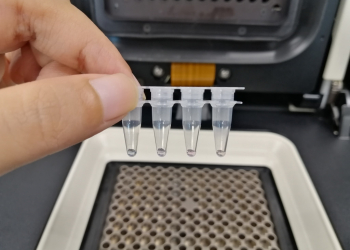 qPCR como la "próxima" técnica en métodos estandarizados