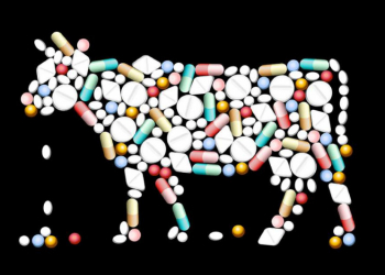 La resistencia a antibióticos, un problema de salud pública