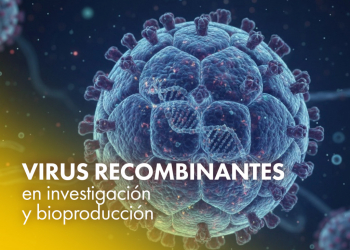 Virus recombinantes en investigación y bioproducción: retos y soluciones 